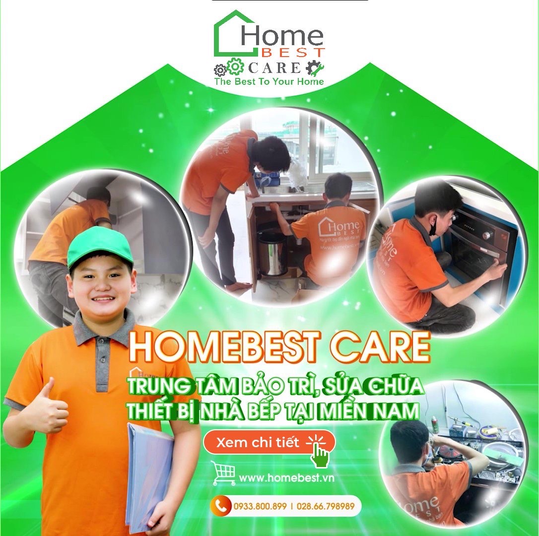 lĩnh vực hoạt động